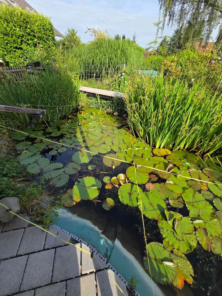 Freistehendes 4.5-Zimmer-Einfamilienhaus mit schönem Garten