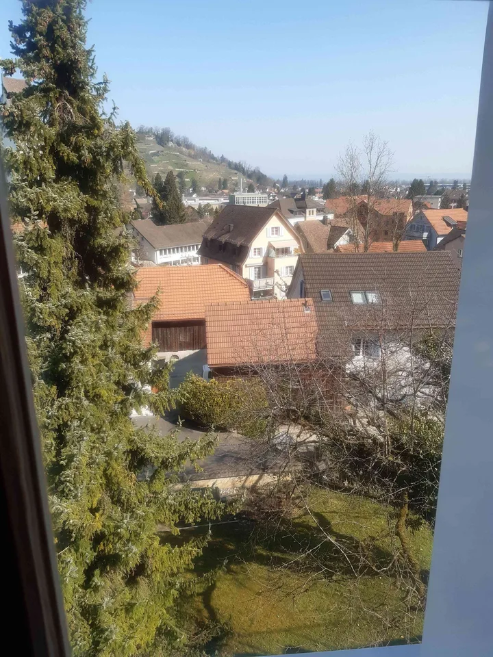 Rustikale Dachwohnung mit einzigartiger Aussicht