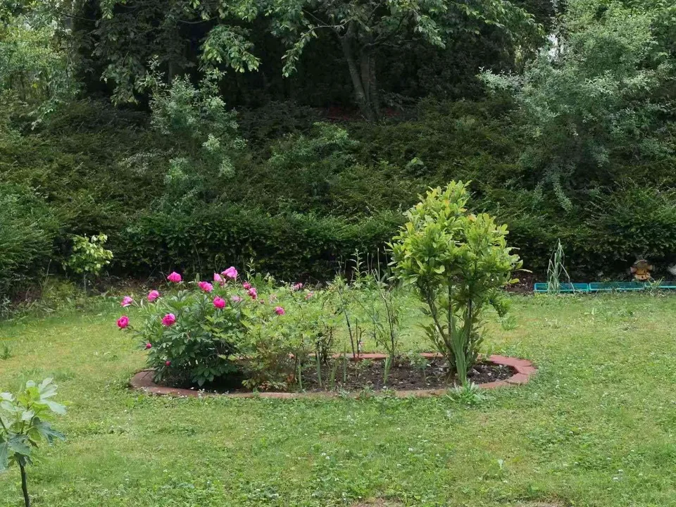 Ruhige und kühle Gartenwohnung zu verkaufen
