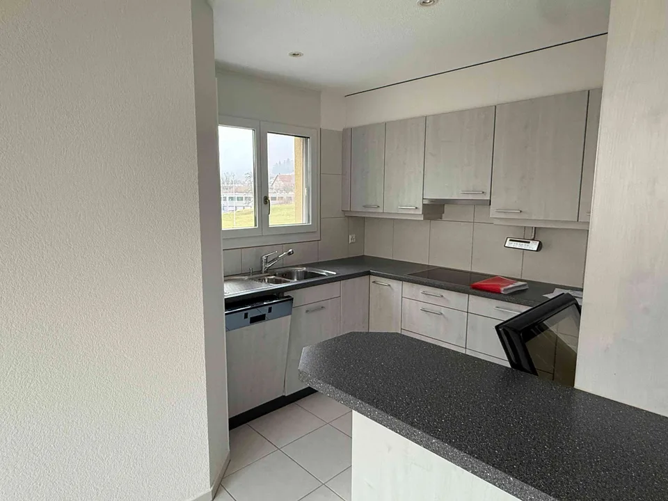 Affascinante appartamento di 3,5 locali a Remetschwil – foto 18 di 18