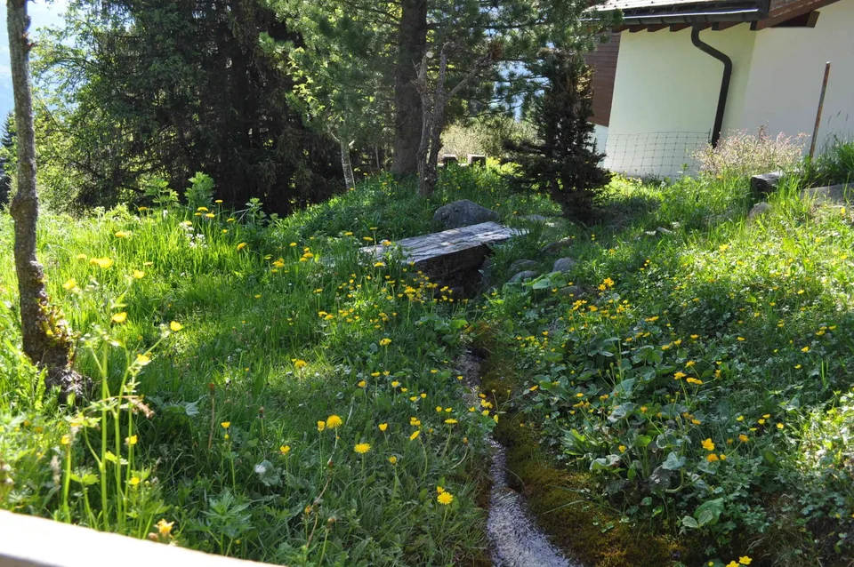 Charmantes 7-Zimmer-Chalet in Churwalden mit atemberaubendem Bergpanorama – Foto 3 von 6