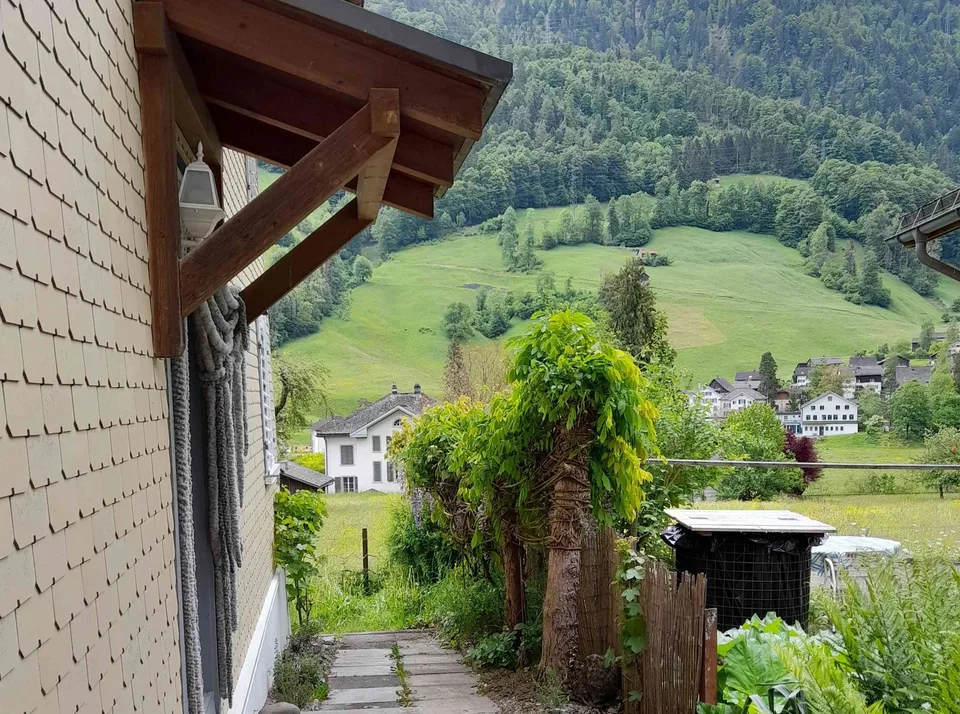 ZURÜCK ZU DEN WURZELN