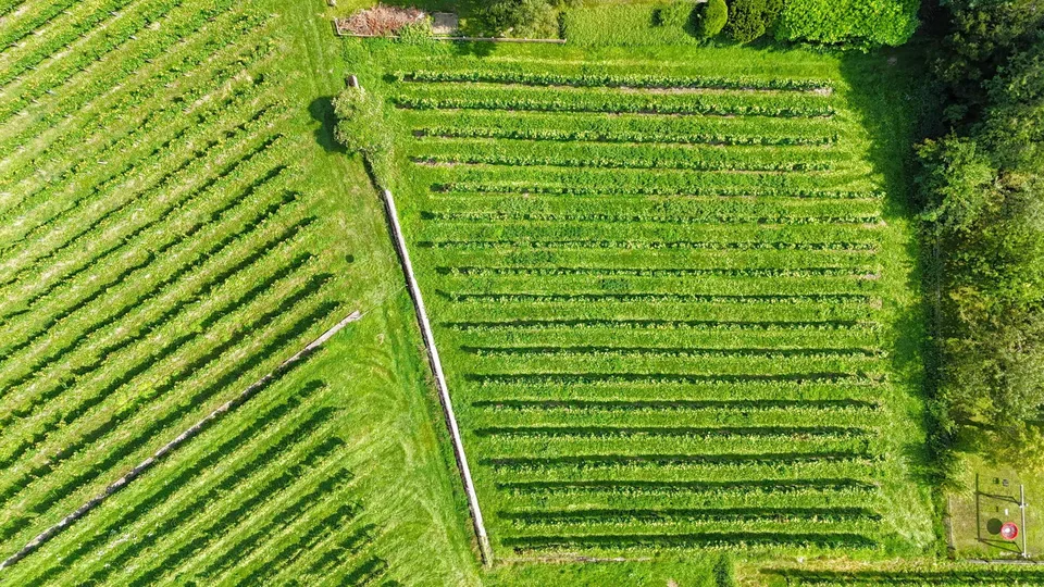 Einzigartige Baulandparzelle in Maienfeld