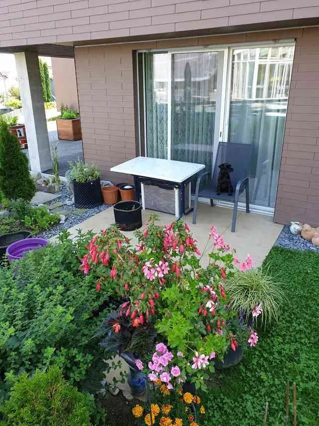 *** Modernes Studio 1.5 Zimmer 33 m² Grün im Dorfkern ***