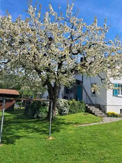 Verkauf Einfamilienhaus mit sehr schöner Lage
