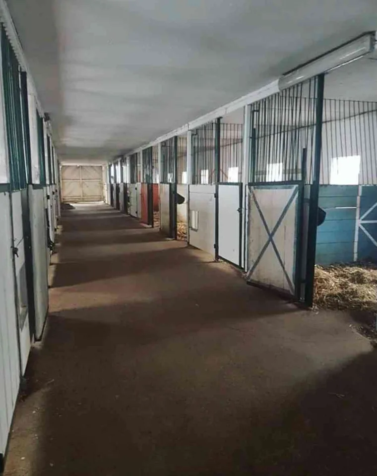 Einzigartige Pferderanch mit vielseitigem Nutzungspotential