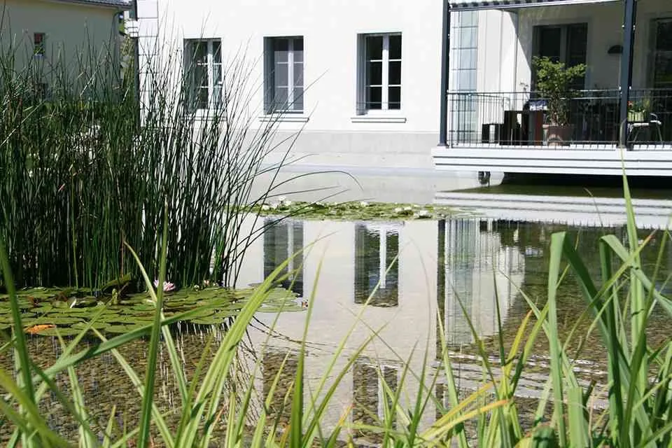 Park, Wasser, Stille - dein neues Zuhause in Pfaffnau LU