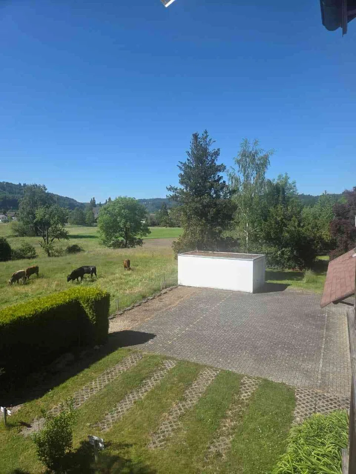 Zu verkaufen charmante 4 1/2 Zimmerwohnung mit Weitblick in Bettenhaus – Foto 11 von 14