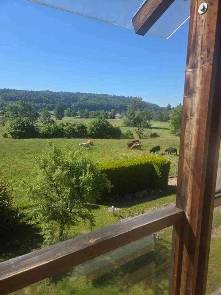 Zu verkaufen charmante 4 1/2 Zimmerwohnung mit Weitblick in Bettenhaus – Foto 10 von 14