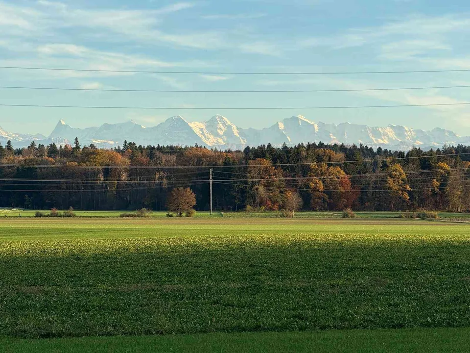Modernes Wohnen im Buechibärg