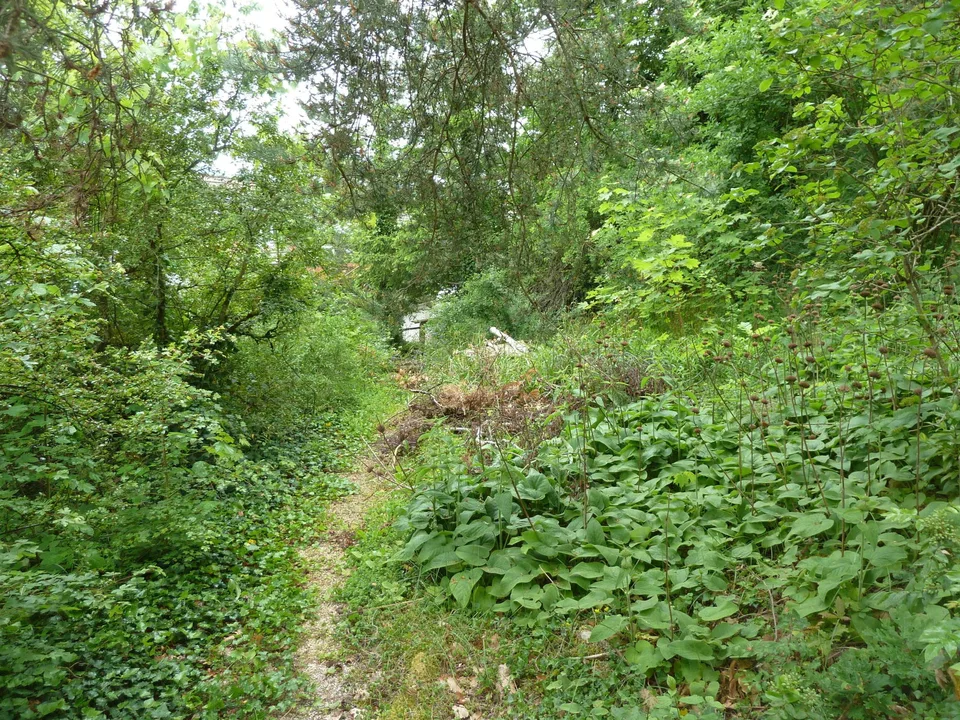 Baugrundstück am Waldrand mit schönem Ausblick über das Leimental