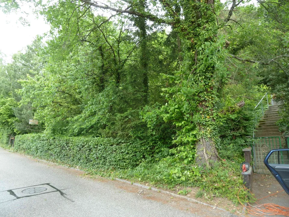 Baugrundstück am Waldrand mit schönem Ausblick über das Leimental