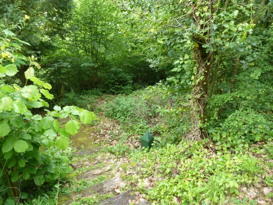 Baugrundstück am Waldrand mit schönem Ausblick über das Leimental