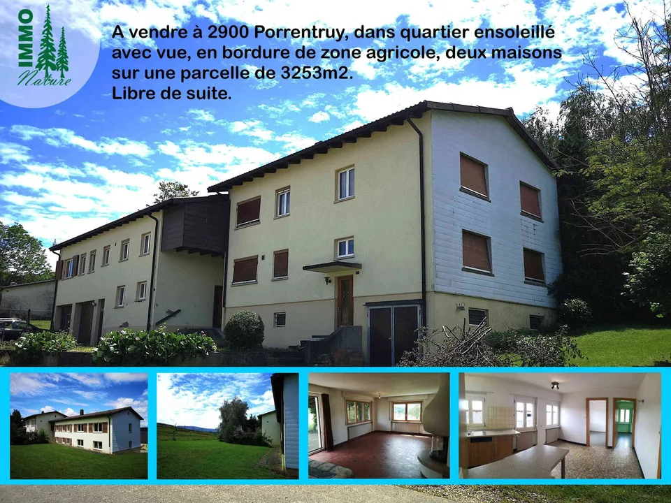 Deux maisons à rénover en partie, grand terrain, vue, libre de suite