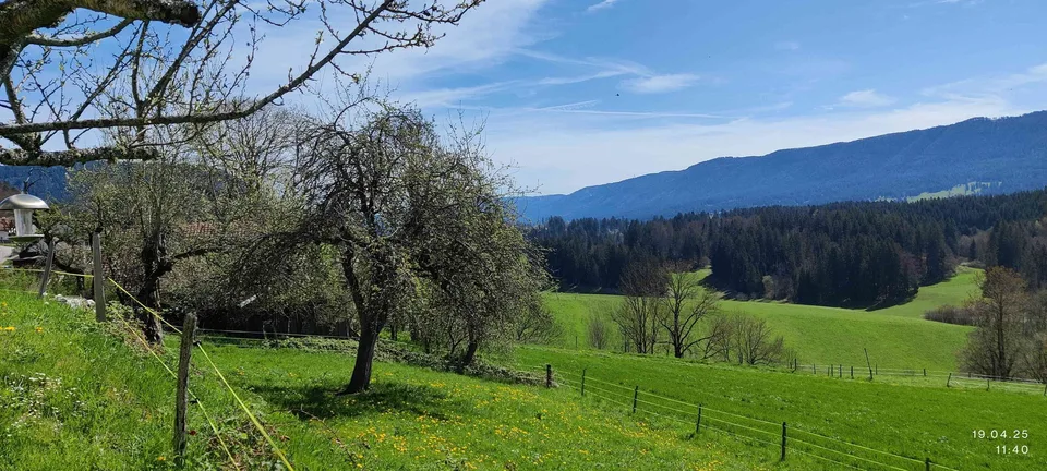 Jura Mehrfamilienhaus