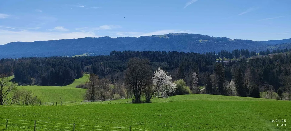 Jura Mehrfamilienhaus