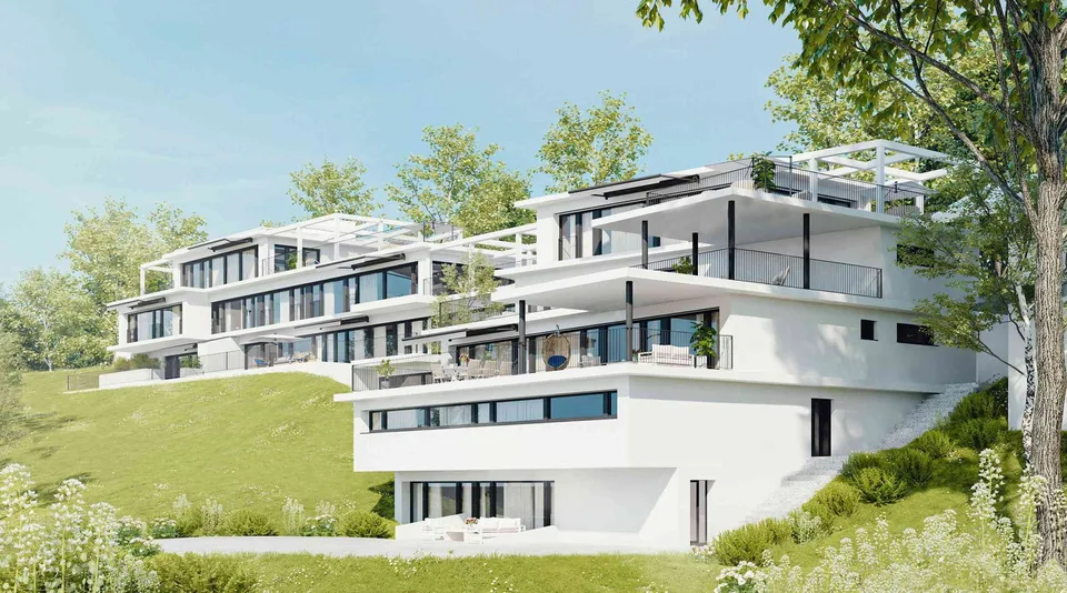 Exklusives Neubauprojekt in Boniswil – 7 Terrassenwohnungen mit Seesic