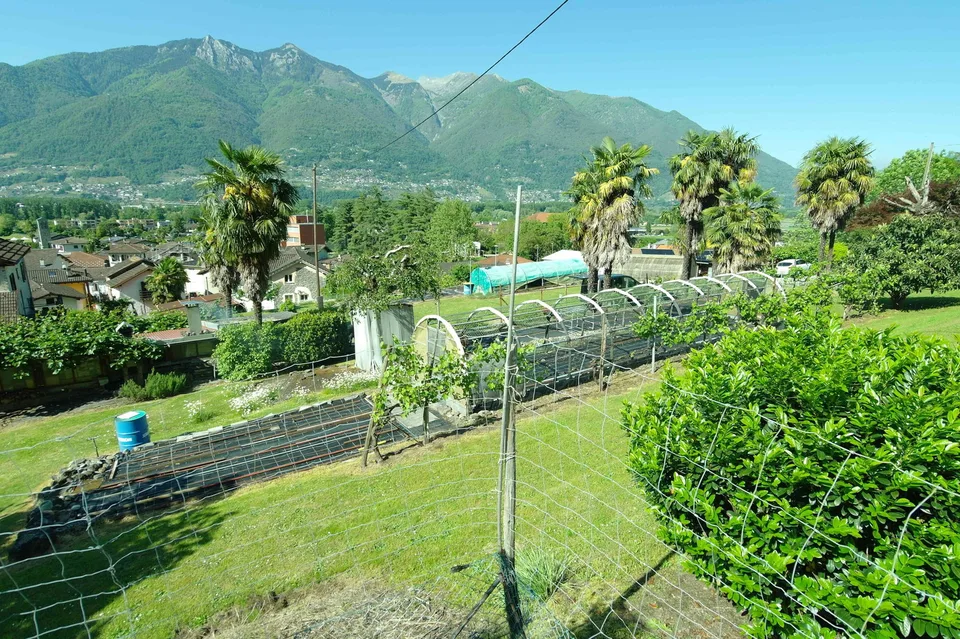 Terreno in zona tranquilla, ideale per progetto residenziale