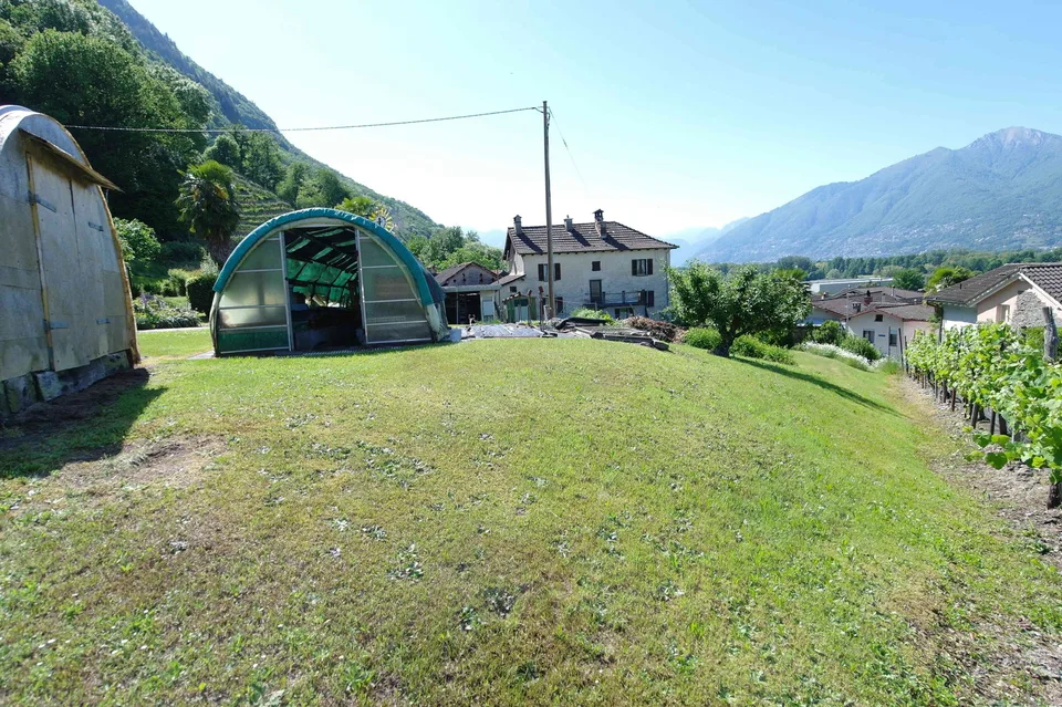 Terreno in zona tranquilla, ideale per progetto residenziale