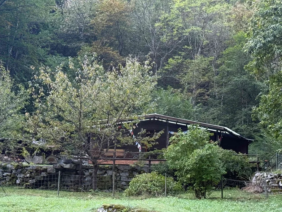 Seltenes Liebhaberobjekt im Bavonatal – Holzchalet mit Wald und Natur