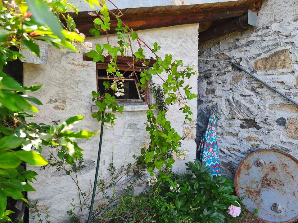 2 Rustici: beste Aussicht, Alleinlage, Ruhe, Natur