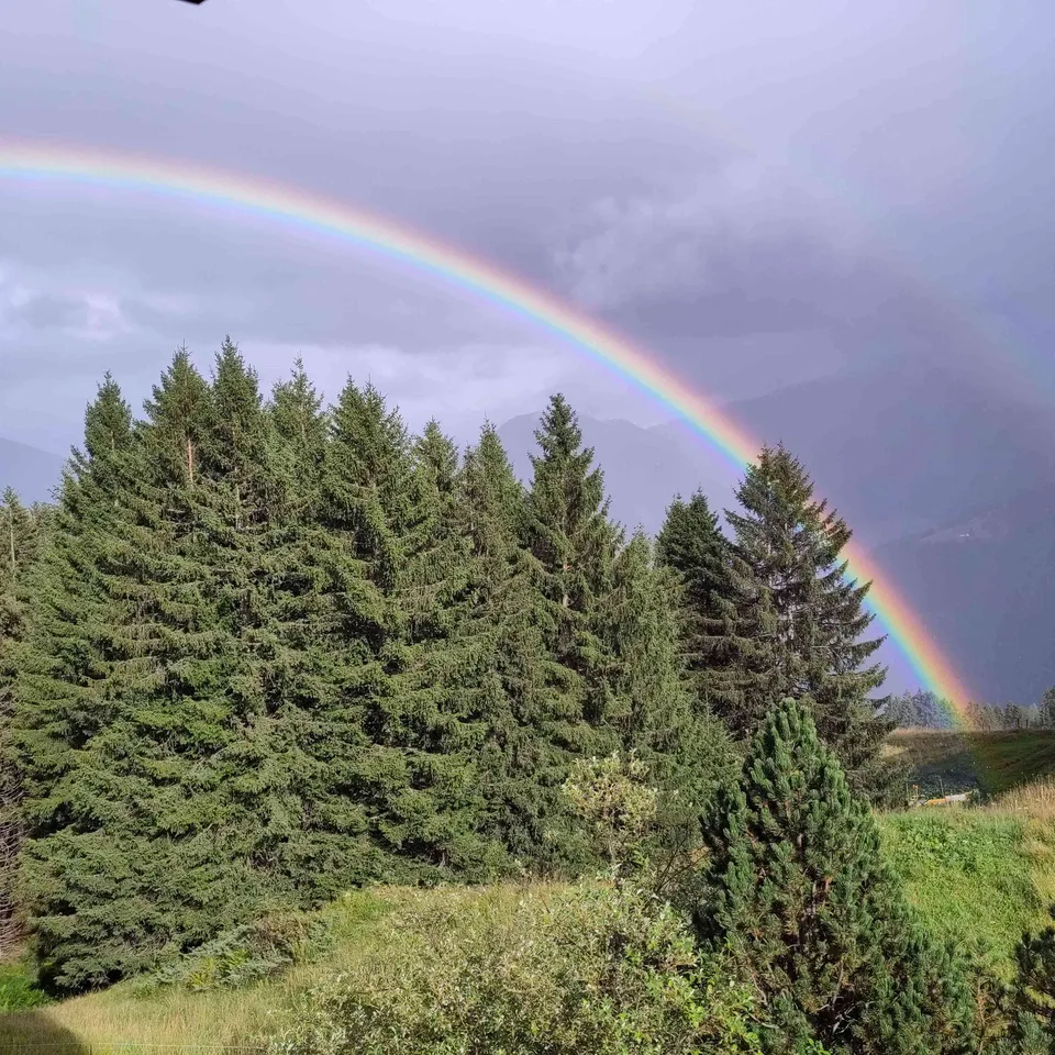 erschlossenes Bauland / Oberurmein (7427 Urmein)