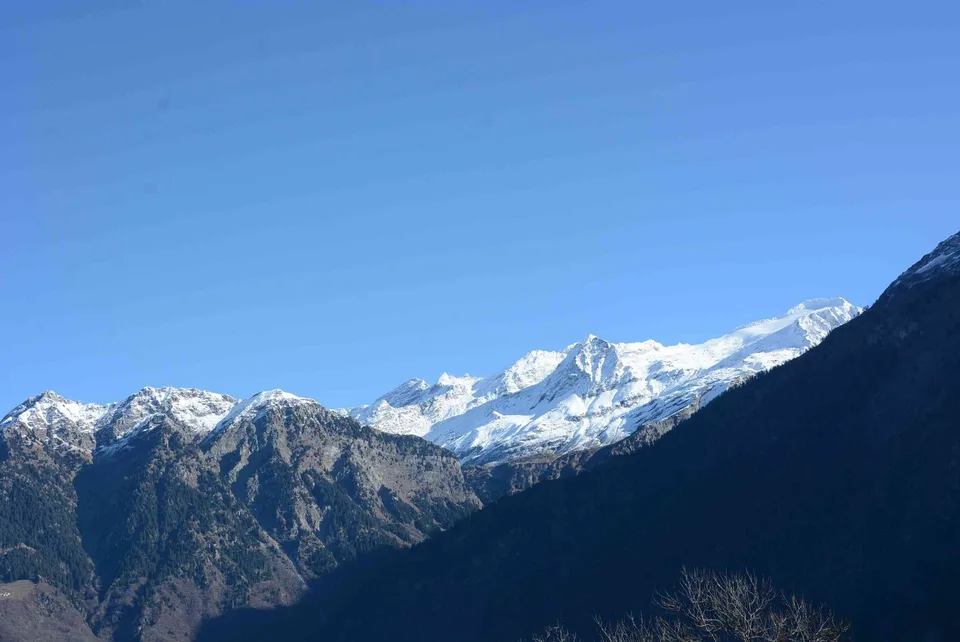 Wollen Sie aus dem Stall eine "Perle" machen...?