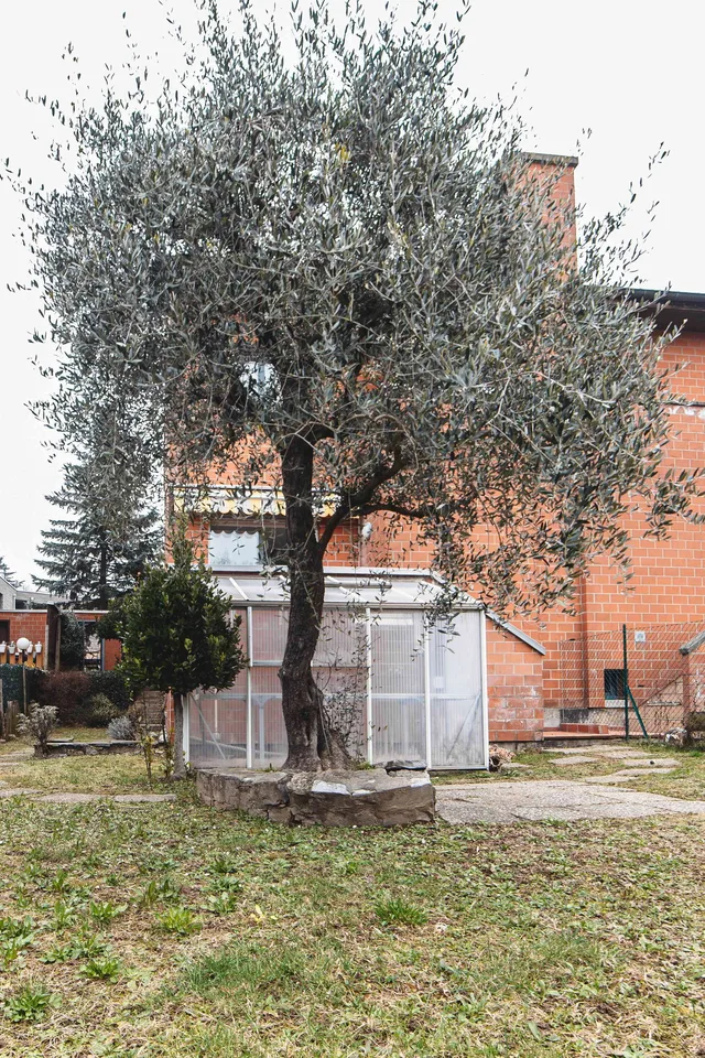 Vicinanze Chiasso - Pedrinate
