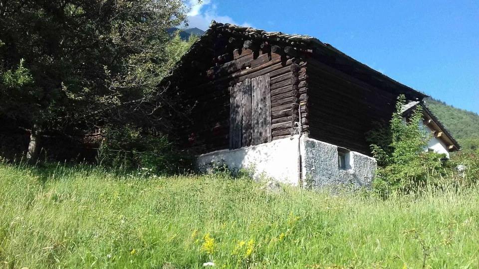 MONTACCIO - VAL BREGAGLIA TERRENO EDIFICABILE E STALLA ANTICA