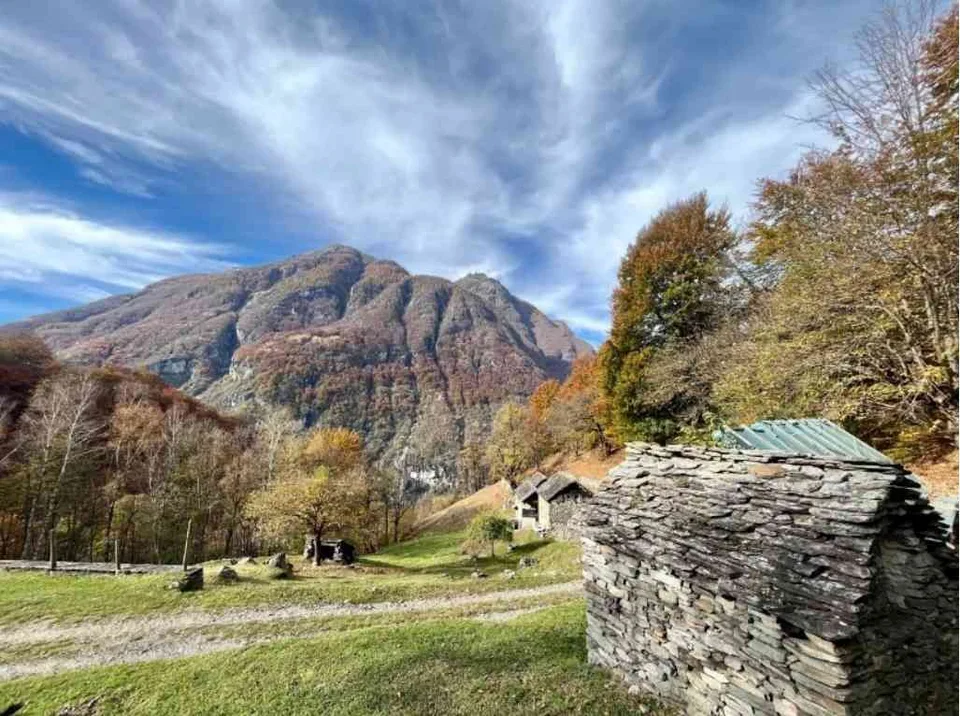 Copia Vendesi rustico sui monti di Bignasco con licenza approvata