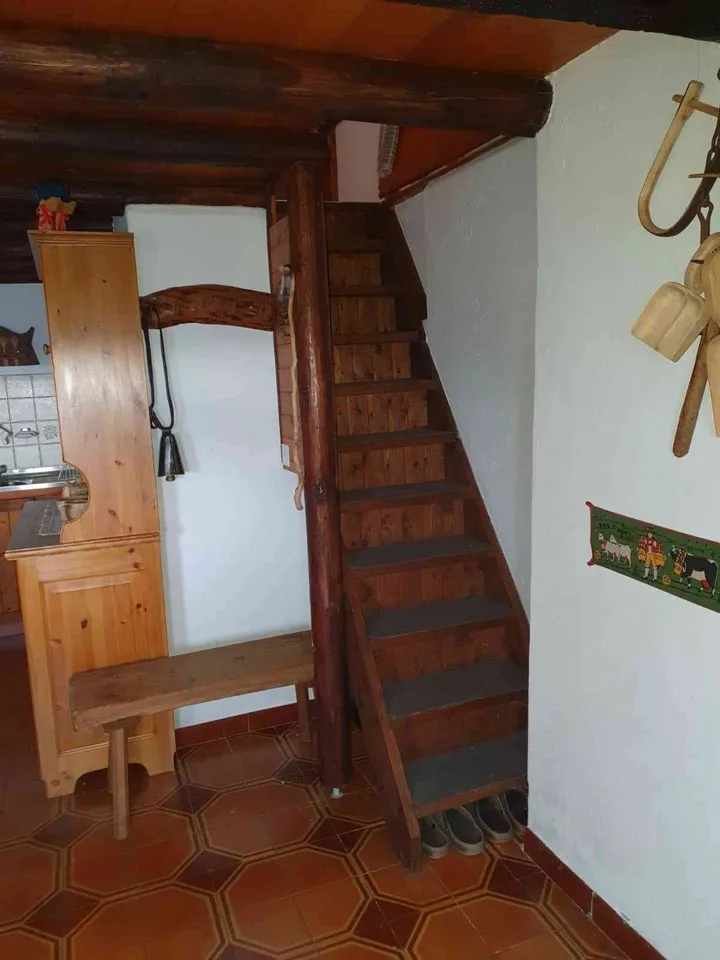 Ferienrustico in sonniger Lage im Tessin (Monte Carasso, Bergzone)