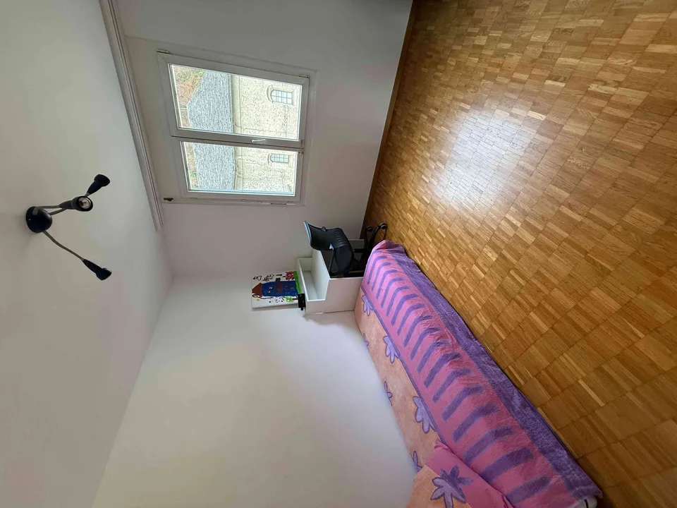 3.5 Zimmer Wohnung, 6600 Locarno
