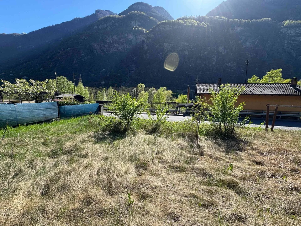 Terreno edificabile per palazzine o case a Bodio