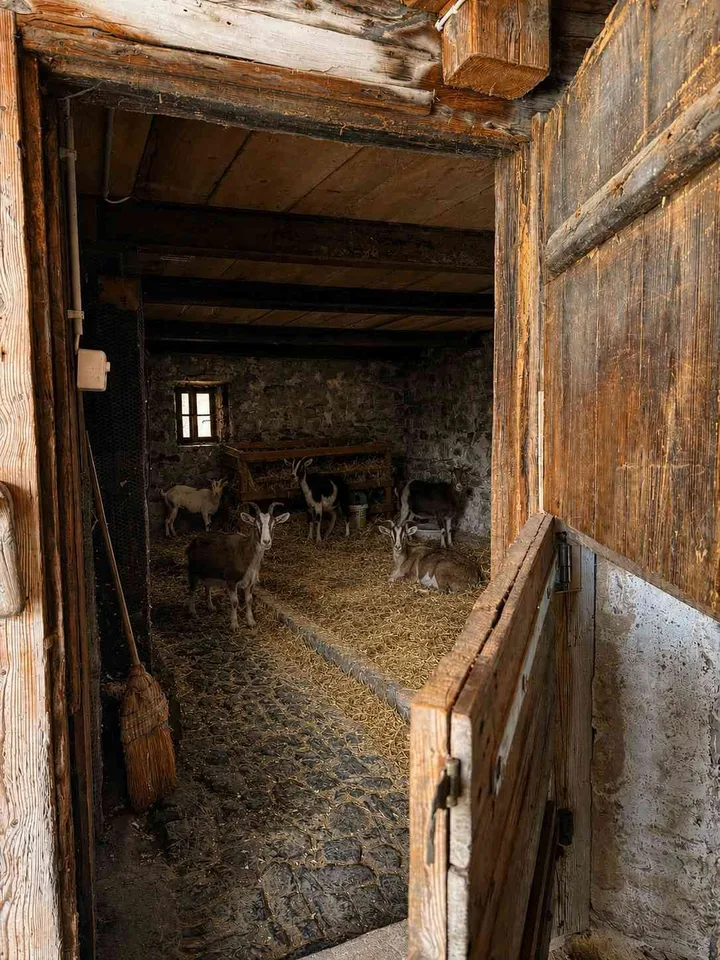 Pferdeliegenschaft mit Bauland – Ihr Zuhause für Mensch und Pferd