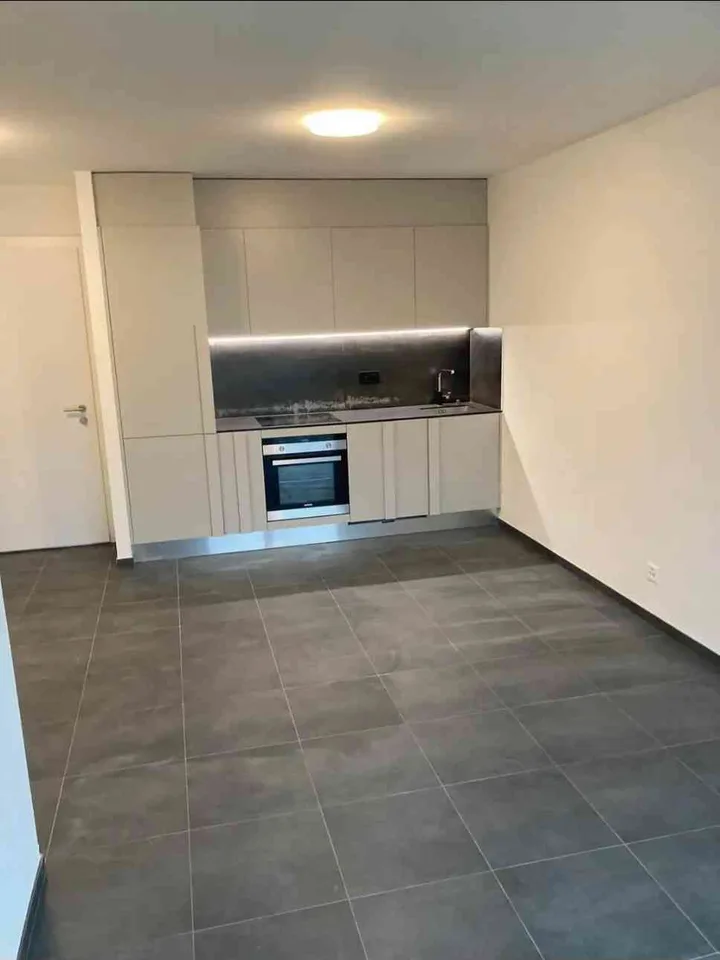 Bel appartement 2.5 pièces – Rue Oscar Bider 100, Sion