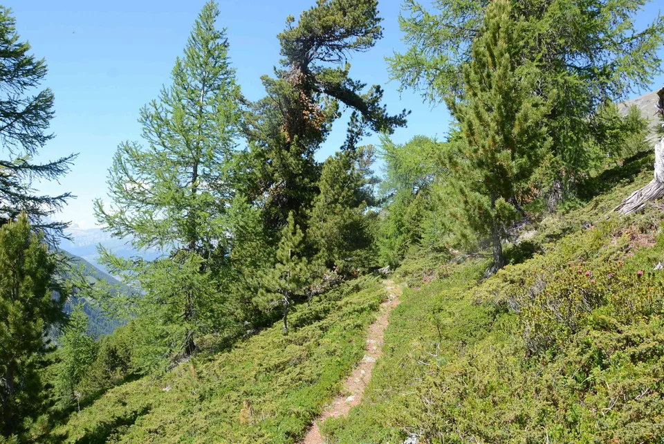 Träumen unter freiem freiem Himmel.... mit totaler Ruhe !!