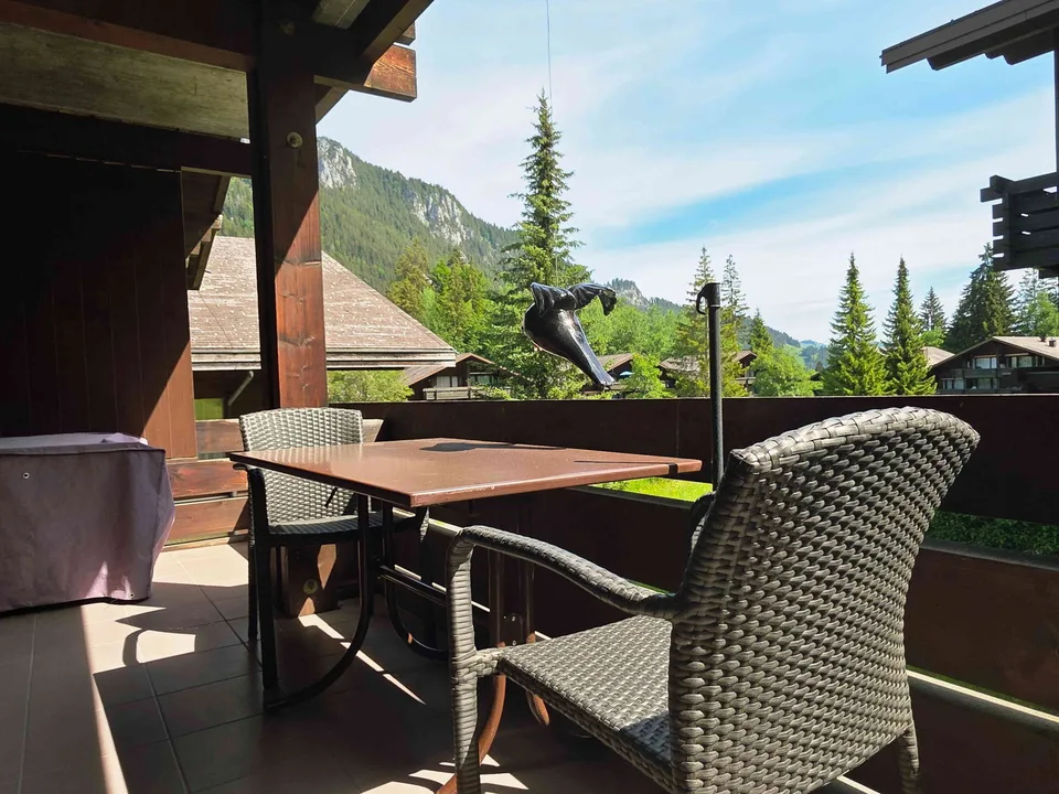 Ferienwohnung am Wiriehorn – photo 9 sur 9