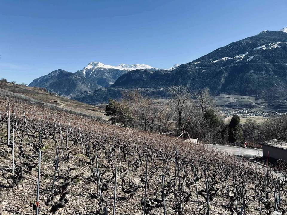 Valençon - Terrain avec projet en cours d'autorisation