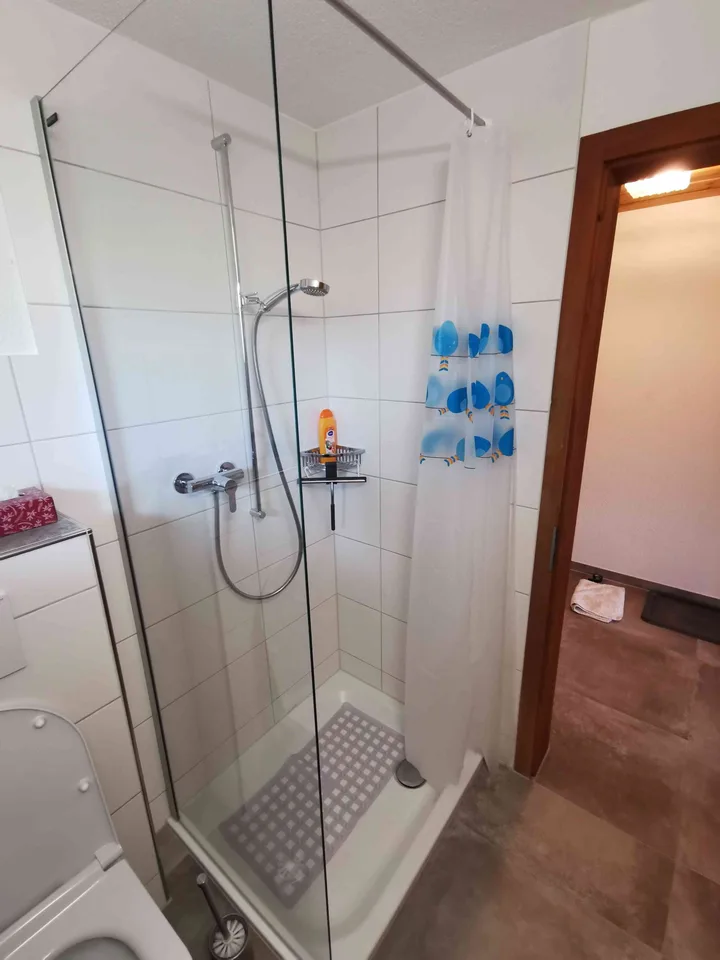Studio entièrement rénové dans le Diemtigtal, Oberland bernois – photo 8 sur 8