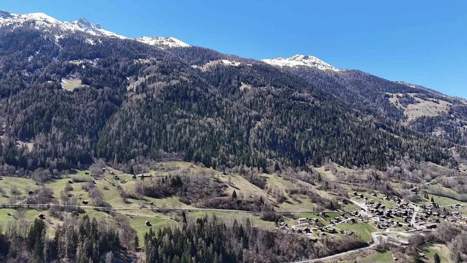 Splendide parcelle à bâtir aux Morands