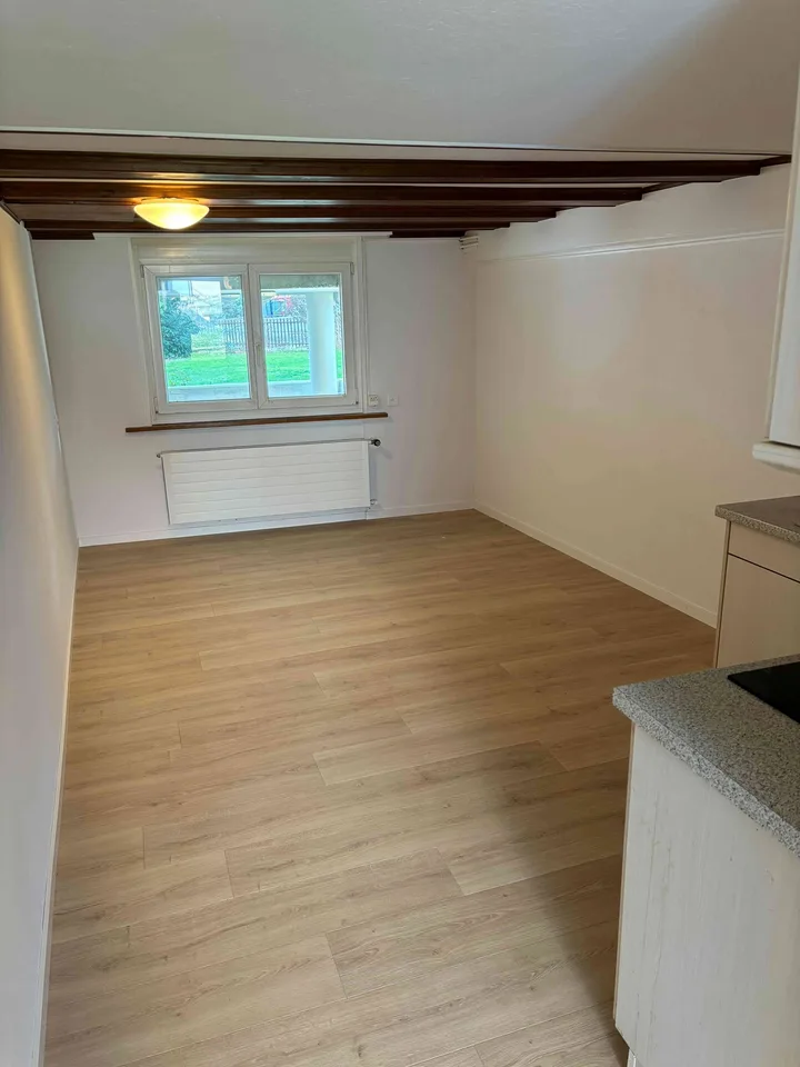 charmante 1.5 Zimmer Wohnung an schöner, zentraler Lage in Seenähe