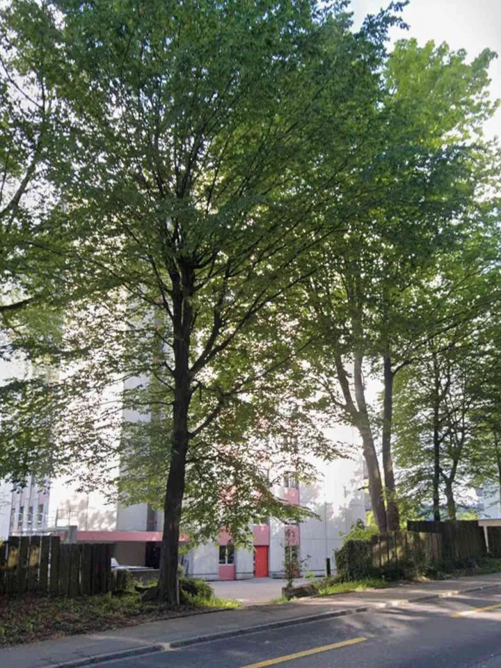 3 1/2 Zi.Whg. in Wittenbach zur Grenze Stadt St.Gallen