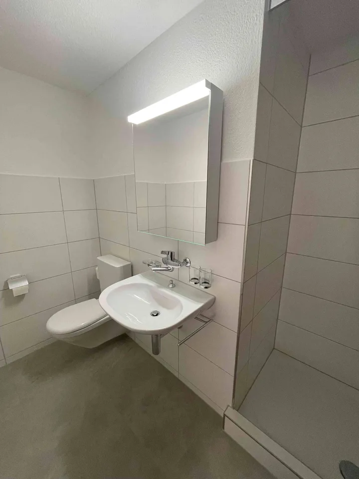 3 Zimmerdachwohnung