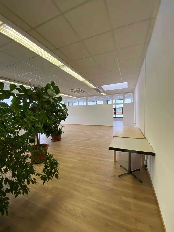 Helle Büroräume ab 20 qm in unterschiedlichen Grössen zu vermieten