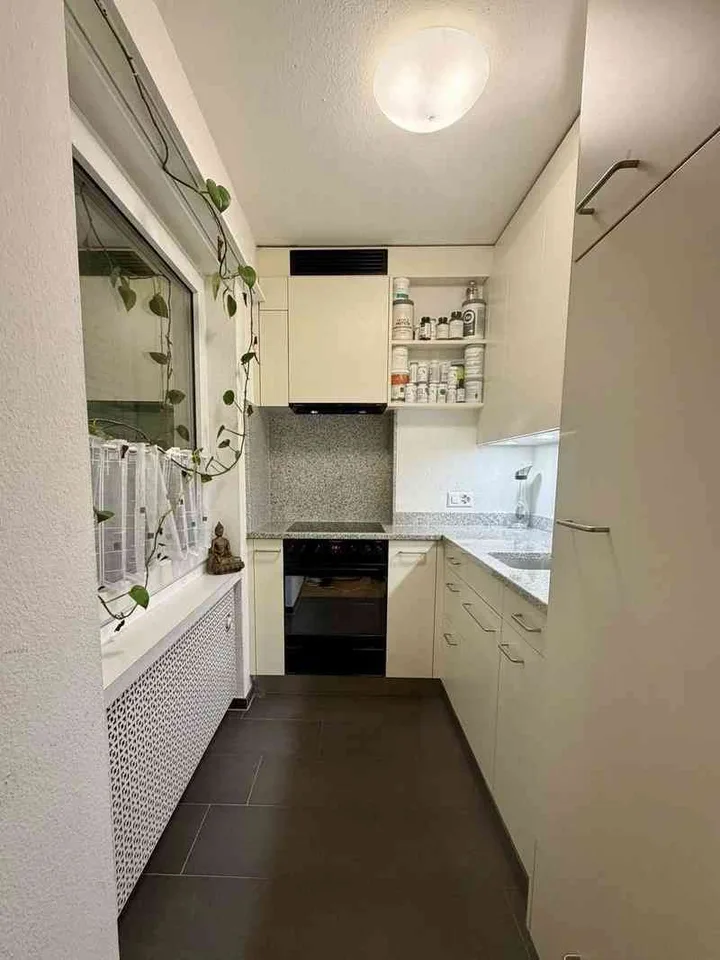 Furnished one-bedroom flat near Oerlikon railway station