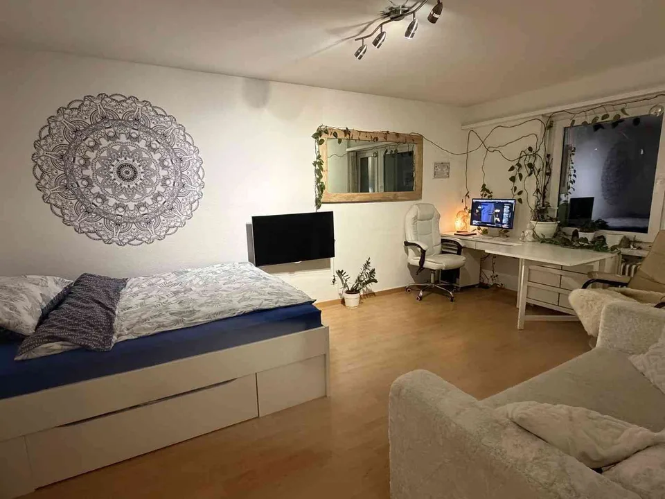 Furnished one-bedroom flat near Oerlikon railway station