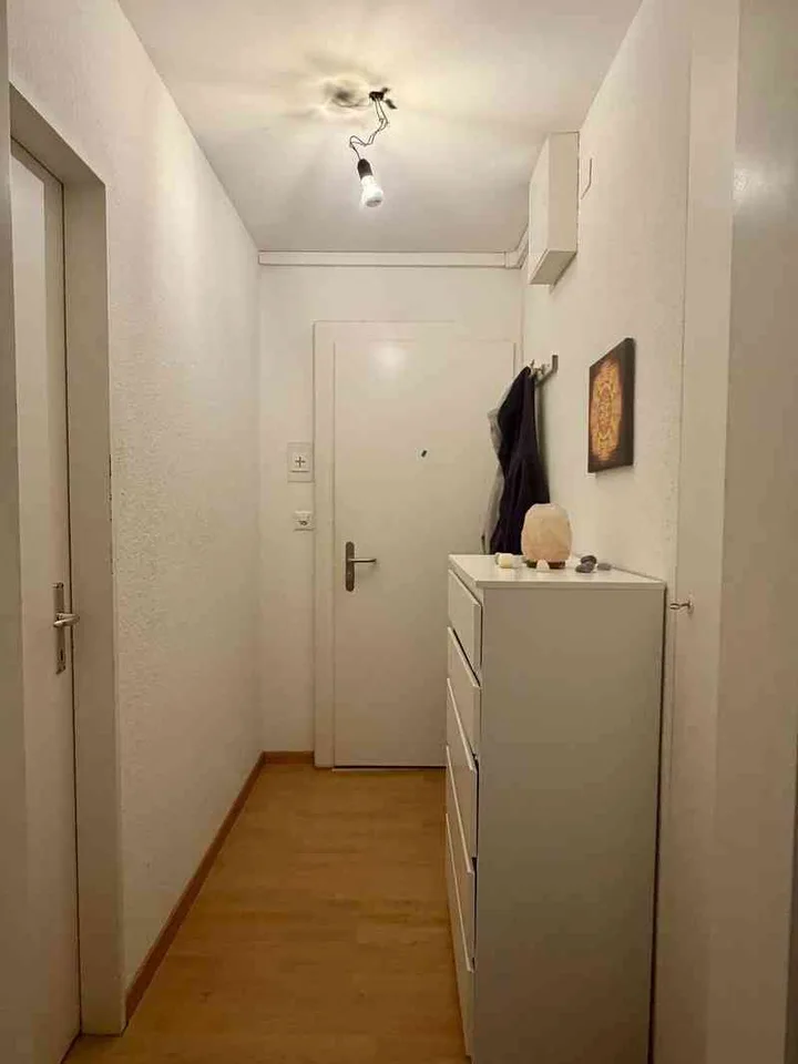 Furnished one-bedroom flat near Oerlikon railway station