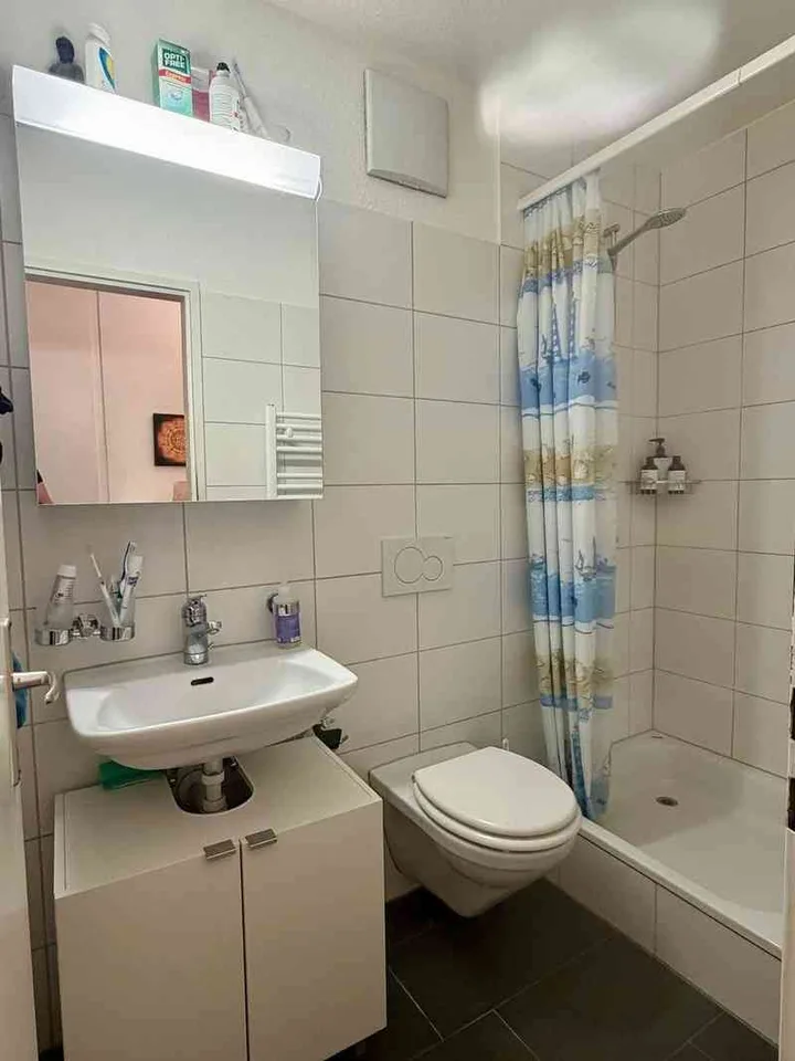 Furnished one-bedroom flat near Oerlikon railway station