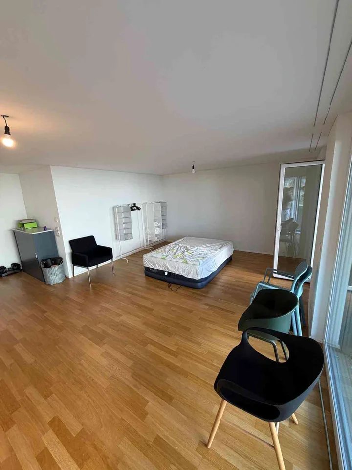 Moderne 1.5 -Zimmer-Wohnung mit grosser Sonnenterasse