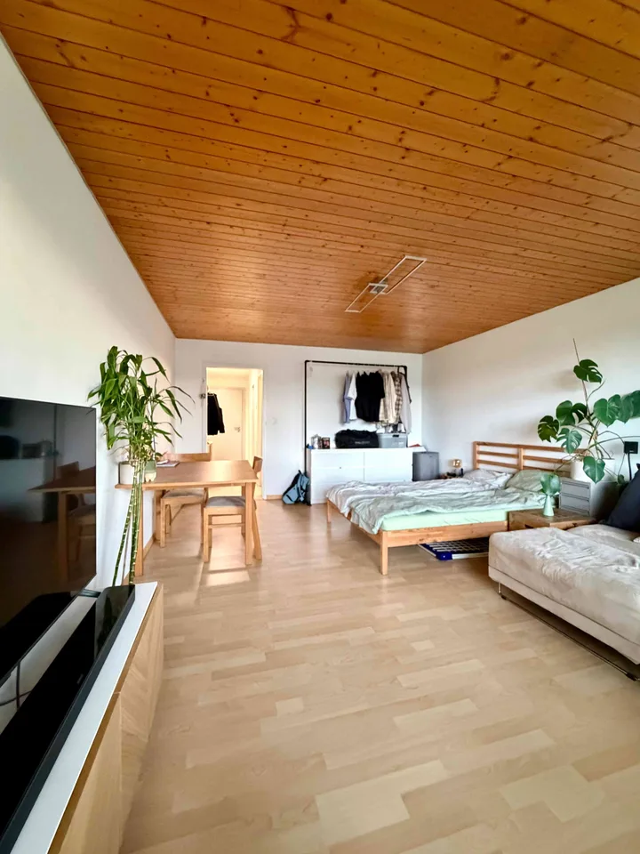 1 Zimmer Wohnung